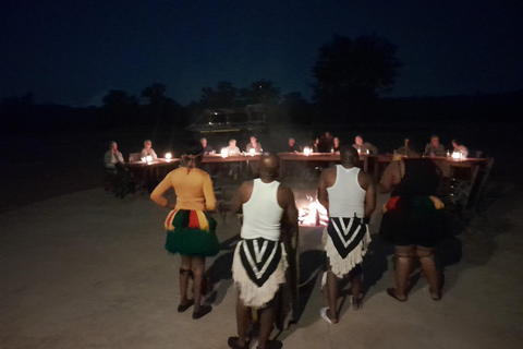 Bush Dinner under the stars