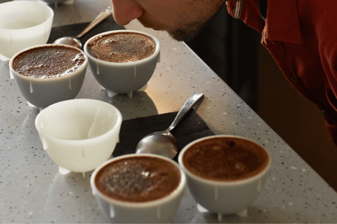 Private tour to Zipaquirá with Salt Cathedral and coffee tasting, from Bogotá