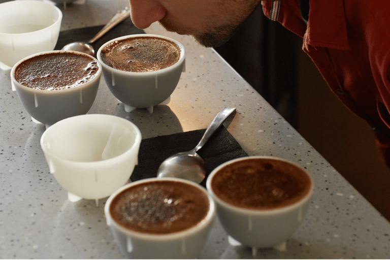 Private tour to Zipaquirá with Salt Cathedral and coffee tasting, from Bogotá