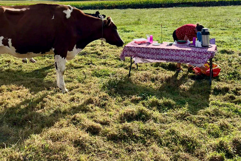 Isla Terceira: Experiencia en la Ruta de la Leche y el Queso