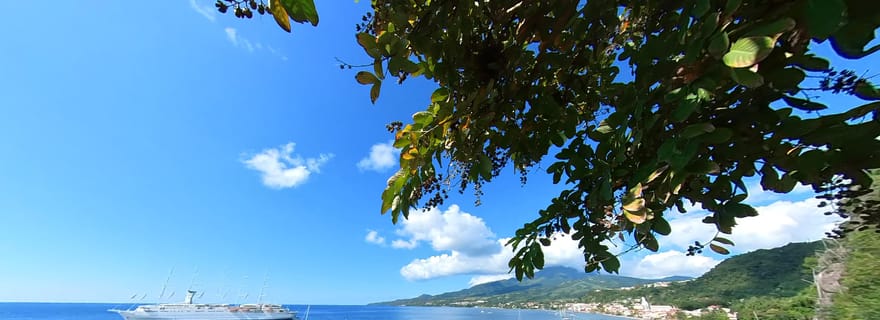 Côte nord des Caraïbes et forêt tropicale - Visite d'une journée