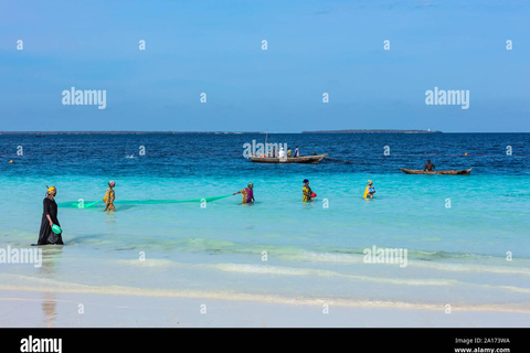 Zanzibar: Mnemba Dolphin Swim, Turtle Aquarium & Beach Trip TOUR WITHOUT HOTEL TRANSFER(PICK UP AND DROP OFF)