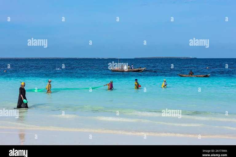 Zanzibar: Mnemba Dolphin Swim, Turtle Aquarium & Beach Trip TOUR WITHOUT HOTEL TRANSFER(PICK UP AND DROP OFF)