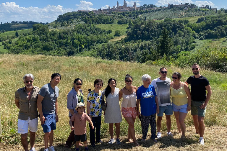 Tour di Siena e San Gimignano in van da Lucca o Pisa