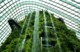 Eintrittskarte für die Gardens by the Bay