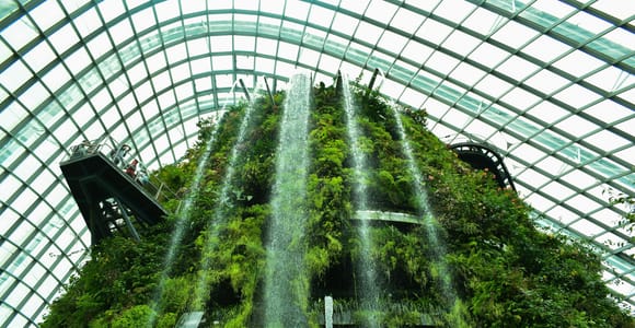 Gardens by the Bay Entry Ticket