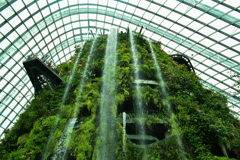 Gardens by the Bay Entry Ticket