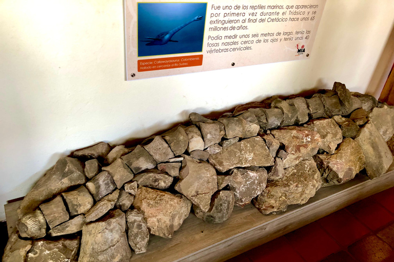 Camino Real : Randonnée Barichara-Guane + Musée Paléontologique