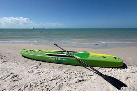Naples, FL: Stand-Up Paddleboard Rental 24h Stand-Up Paddleboard Rental
