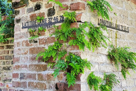 Charleston: Native led tour of historic district