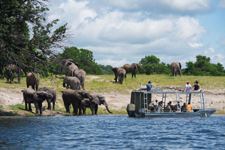 Victoria Falls: Chobe National Park Day Trip with Lunch