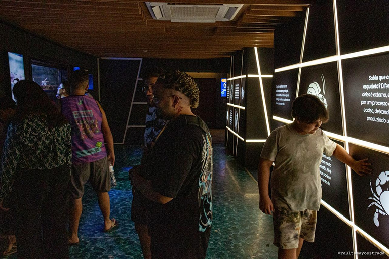 Río de Janeiro: ticket de entrada a AquaRio