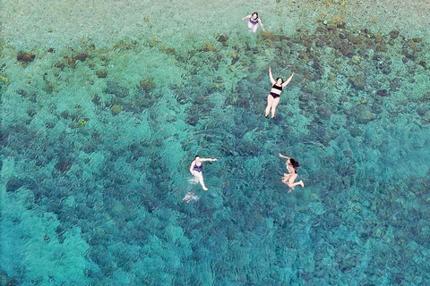 Atene: Escursione semi-privata di mezza giornata a Capo Sounio