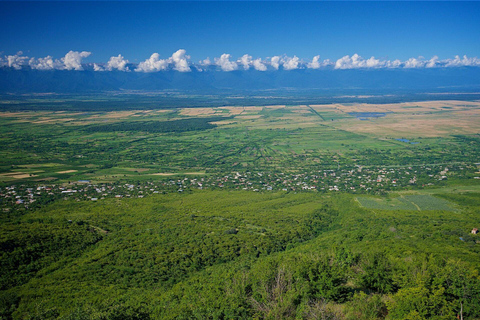 Tbilisi: Chronicle of Georgia, Bodbe & Sighnaghi Tour