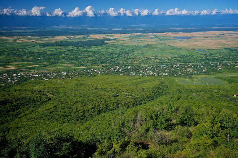 Tbilisi: Chronicle of Georgia, Bodbe & Sighnaghi Tour