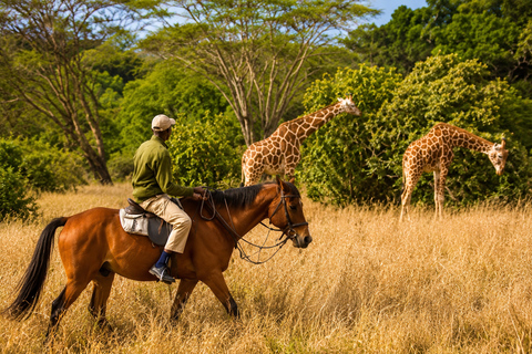 Arusha: Arusha National Park Horseback Safari with Lunch