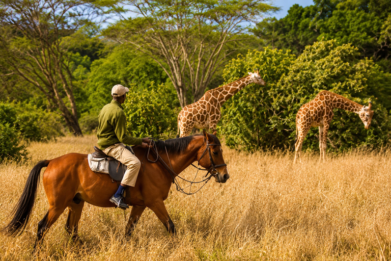 Arusha: Arusha National Park Horseback Safari with Lunch