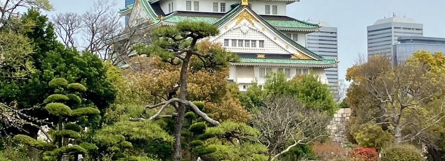 Osaka : visite privée et entièrement personnalisée avec rendez-vous à l'hôtel