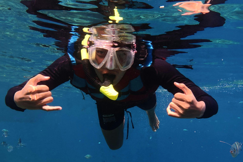 San Cristóbal: Sightseeing Tour to Isla Lobos with Snorkeling, Tour Guide and Lunch Included San Cristóbal: Sightseeing tour to Isla Lobos with snorkeling, tour guide and lunch included