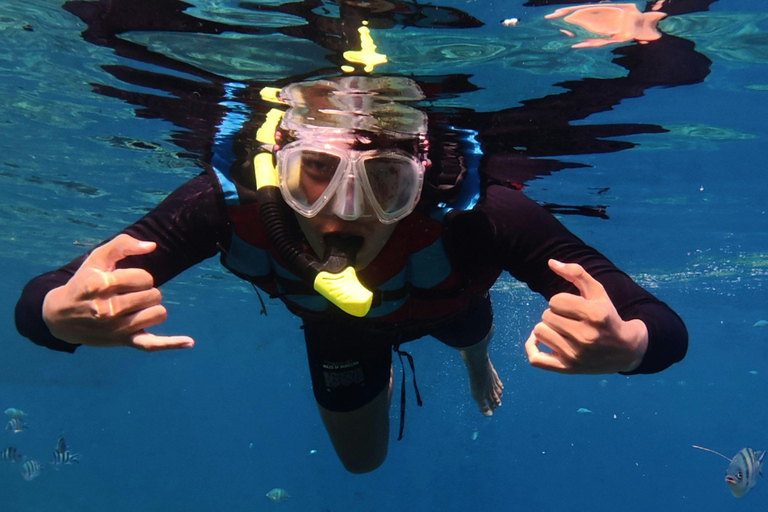 San Cristóbal: Sightseeing Tour to Isla Lobos with Snorkeling, Tour Guide and Lunch Included San Cristóbal: Sightseeing tour to Isla Lobos with snorkeling, tour guide and lunch included
