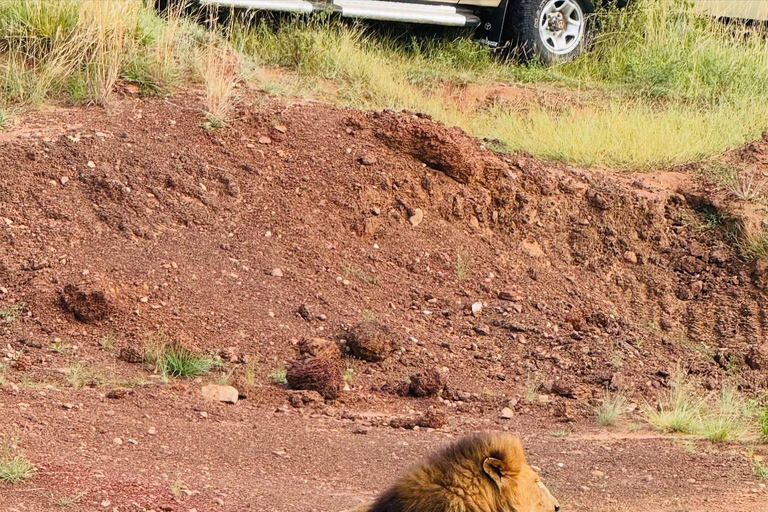 Diani/Mombasa: Private Tsavo East Day Safari in 4x4 Cruiser.