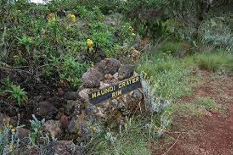 Marangu Trekking-Kilimanjaro Route Tour de 1 diaTour de 1 dia pela Rota Marangu do Kilimanjaro