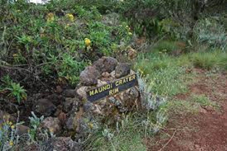 Marangu Trekking-Kilimanjaro Route DagsturKilimanjaro Marangu Route Dagstur