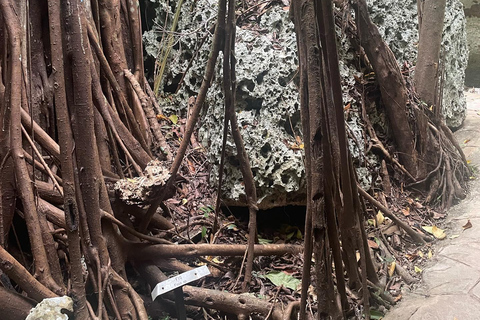 Tour e trasporto delle grotte della Grotta VerdeDa Falmouth/ Trelawny