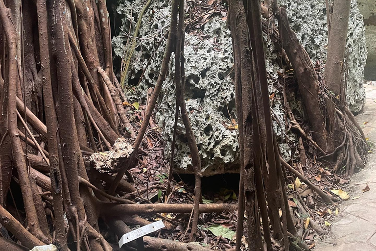 Visita y transporte a las cuevas de la Gruta VerdeDesde Grand Palladium/ Lady Hamilton