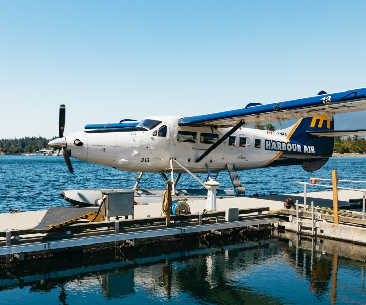 Vancouver: Floatplane and Capilano Suspension Bridge Combo