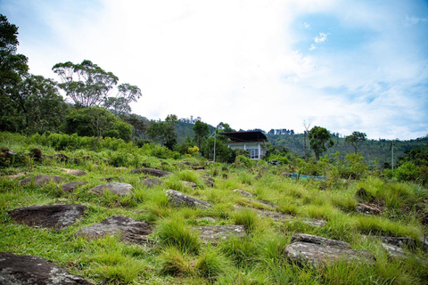 Lipton&#039;s Seat, Adisham Bungalow, excursão à fábrica de chá DambetennaDe Ella: Duas noites e três dias - Tour totalmente particular