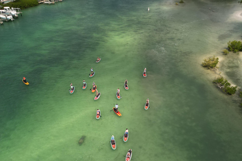 Tour d'avventura con delfini, lamantini e tartarughe marine a Bonita Springs!