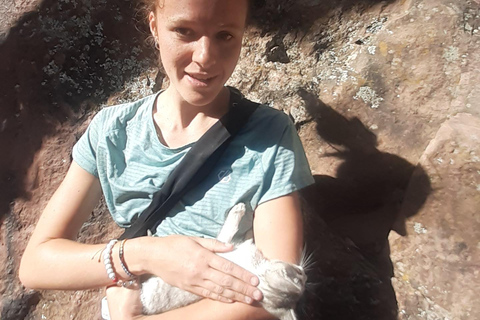 Sucre Rock Climbing Tour