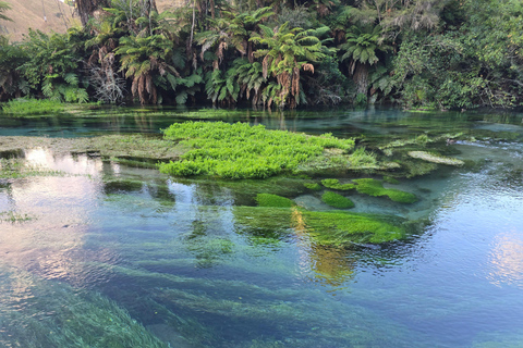 Auckland: Māori Village & Wai-o-Tapu & Blue Springs