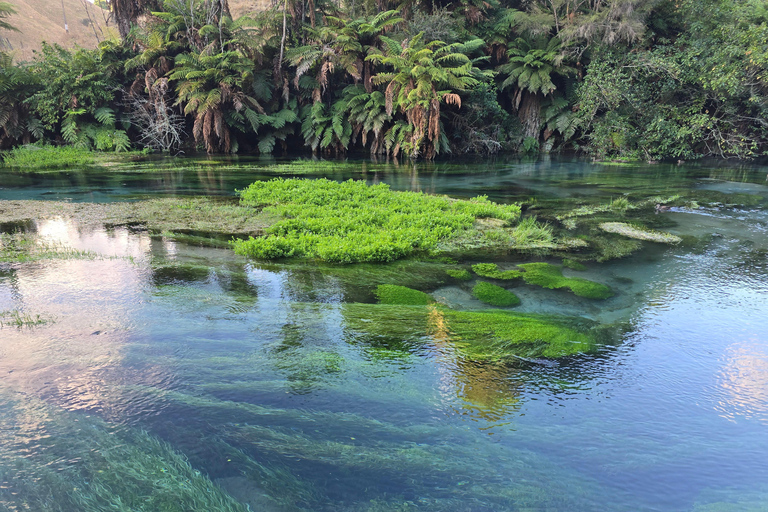 Auckland: Māori Village & Wai-o-Tapu & Blue Springs