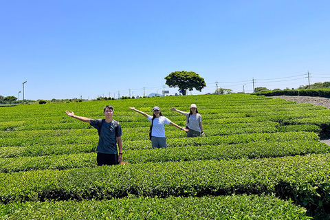 From Seogwipo: Jeju East UNESCO Highlights Join in Tour