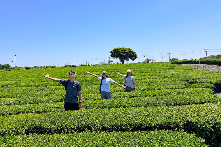 From Seogwipo: Jeju East UNESCO Highlights Join in Tour