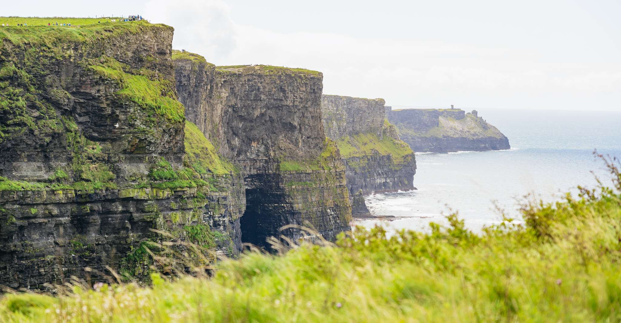 From Galway: Full-Day Cliffs of Moher & Burren Guided Tour photo 15