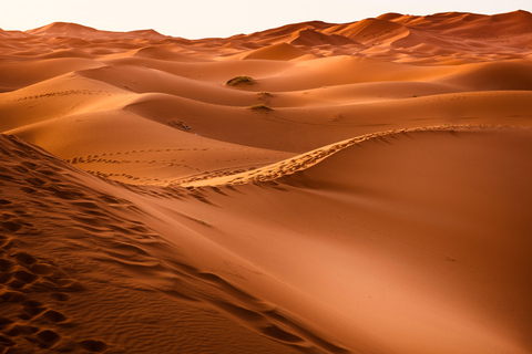 6 dias de emoções: Aventura de jipe no coração do deserto