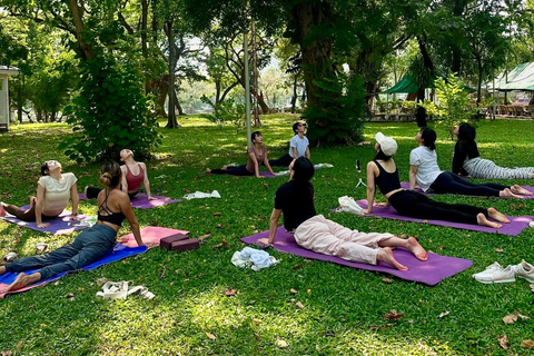 Bangkok: Ochtendyoga voor alle niveaus in Lumphini ParkBangkok: Yoga voor alle niveaus in het Lumphini Park