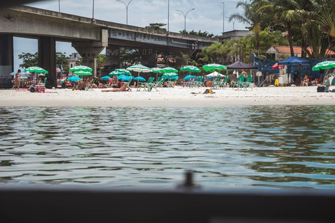 Rio de Janeiro: tour in barca della Laguna di Tijuca con fauna selvaticaRio de Janeiro: giro in barca sulla Laguna di Tijuca con fauna selvatica