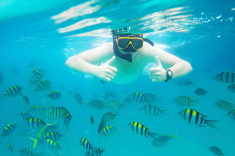 Puerto Plata: Snorkeling Excursion to Sosúa Bay