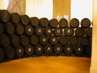 Jerez, Bodegas Álvaro Domecq Guided Tour with Wine Tasting - Housity
