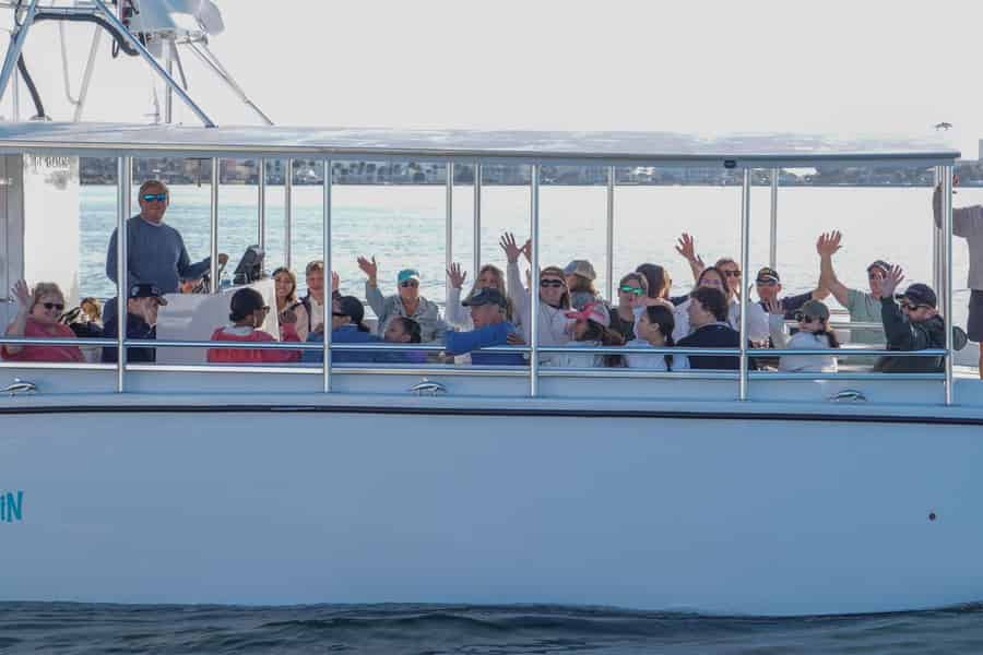 Pensacola Beach: Bootsfahrt mit Delfinbeobachtung und Panorama-Bucht-Tour. Foto: GetYourGuide Pensacola Beach: Bootsfahrt mit Delfinbeobachtung und Panorama-Bucht-Tour. Foto: GetYourGuide