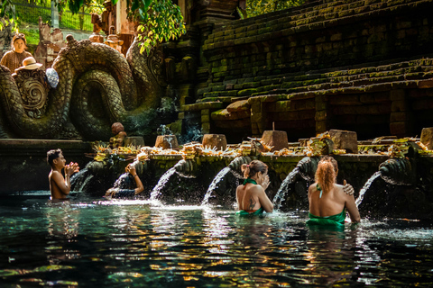 Ubud: Hidden Waterfalls, Rice terrace & Cliffside Dining