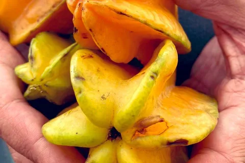 Antigua Guatemala: Wandeltour langs straatgerechten met proeverijen