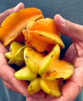 Antigua, Guatemala, Antigua Street Food Tour - Housity