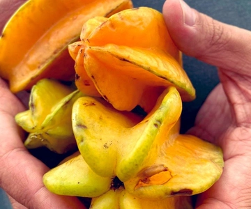 Antigua Guatemala: Street Food Walking Tour with Tastings
