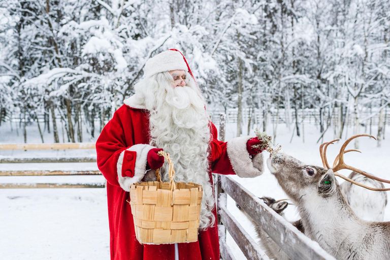 Rovaniemi: Tur till Santa Claus Village med hotelltransfer