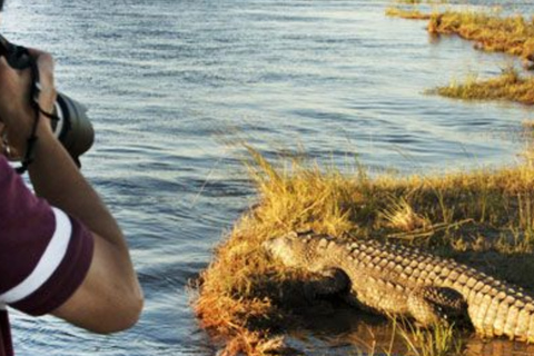 Kasane: 2-Day Chobe National Park Safari - Big Game